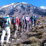 Lemosho route join group Kilimanjaro climb