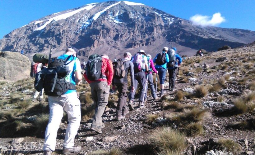 Lemosho route join group Kilimanjaro climb
