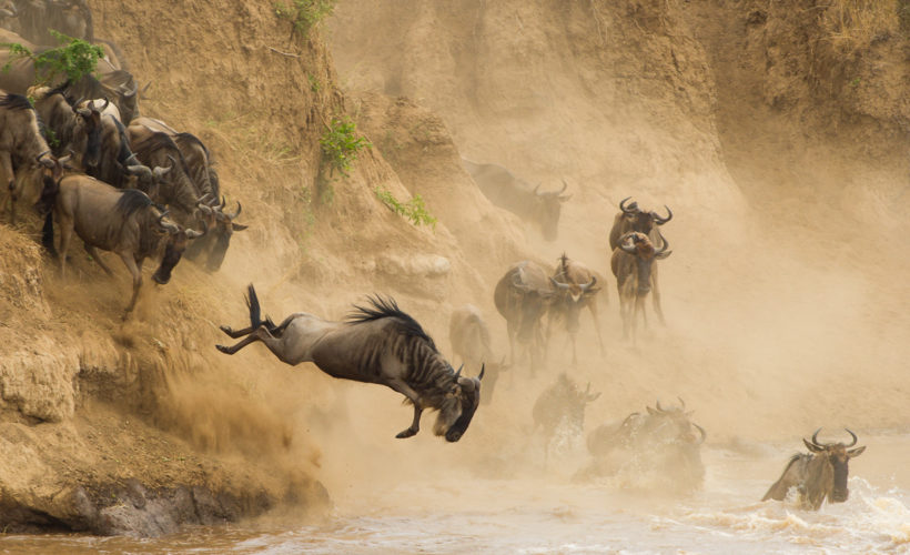 safari-in-kenya-masai-mara-national-reserve