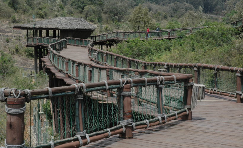 Nairobi safari walk