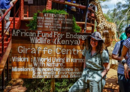 kenya safari day trips