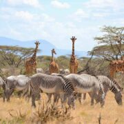 Samburu-National-Park