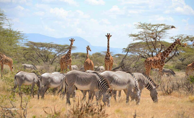 Samburu-National-Park
