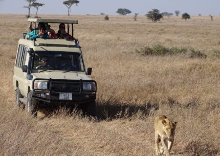 africa tours nairobi