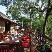 FIG-TREE-CAMP-MASAI-MARA-11-scaled