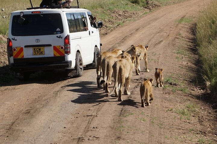 Safari vehicle with tourists on a group tour in Masai Mara.